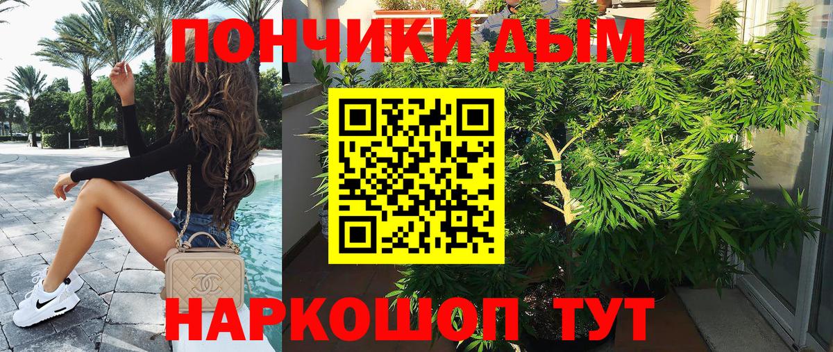 Каннабис сатива Лениногорск